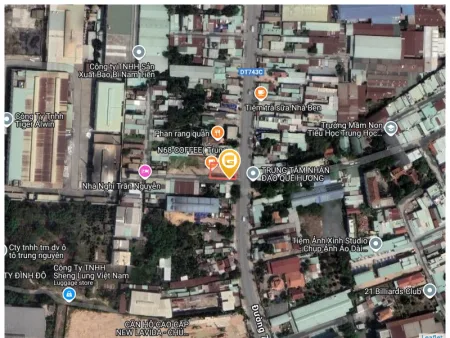 Bất động sản tại Bình Dương - ảnh 1