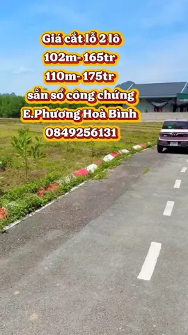 Bất động sản tại Phú Thọ - ảnh 1