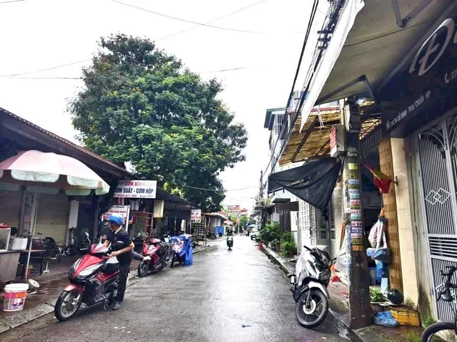 Bất động sản tại Hải Phòng - ảnh 1