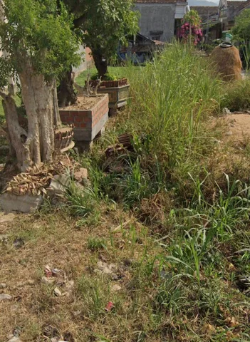 Bất động sản tại Gia Lai - ảnh 1