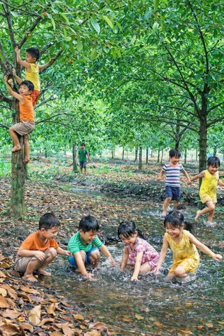 Bất động sản tại Cần Thơ - ảnh 1