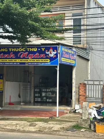 Bất động sản tại Đắk Lắk - ảnh 1