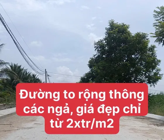 Bất động sản tại Long An - ảnh 1