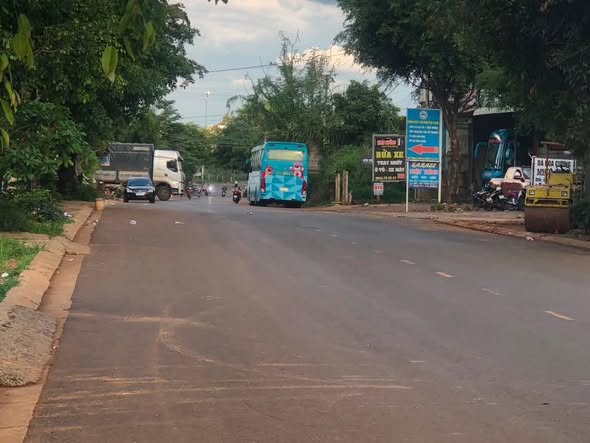 Bất động sản tại Đắk Lắk - ảnh 1