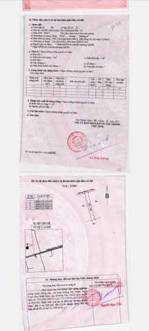 Bất động sản tại Bà Rịa - Vũng Tàu - ảnh 1