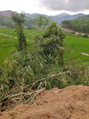 Bất động sản tại Hòa Bình - ảnh 1