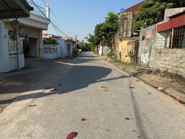 Bất động sản tại Hải Phòng - ảnh 1