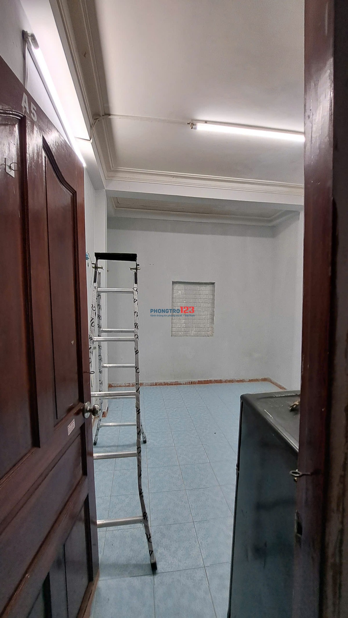 Bất động sản tại TP. Hồ Chí Minh - ảnh 1