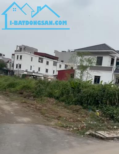 Bất động sản tại Hải Phòng - ảnh 1