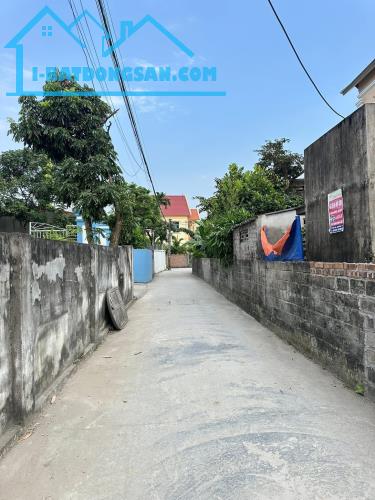Bất động sản tại Hải Phòng - ảnh 1