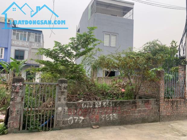 Bất động sản tại Hải Phòng - ảnh 1