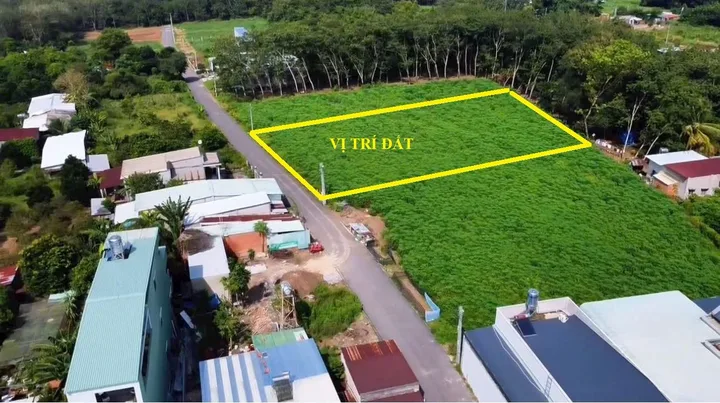 Bất động sản tại Bình Dương - ảnh 1