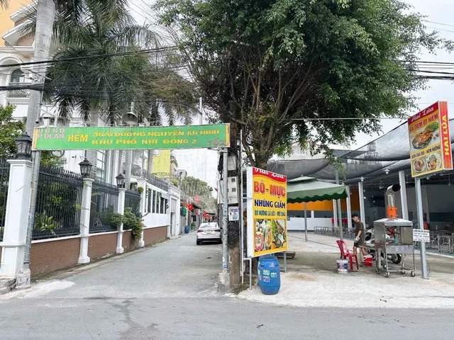Bất động sản tại Bình Dương - ảnh 1