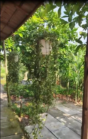 Bất động sản tại Đồng Tháp - ảnh 1