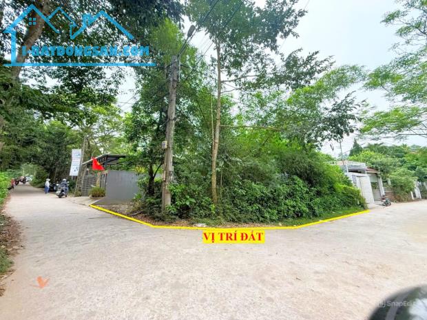 Bất động sản tại Thừa Thiên Huế - ảnh 1