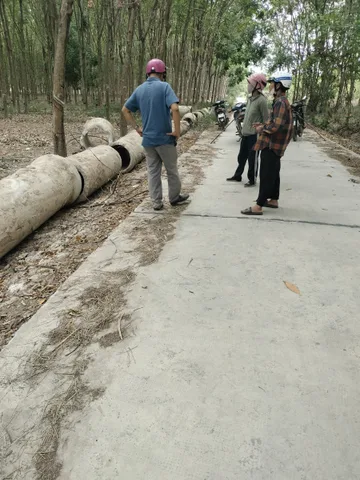 Bất động sản tại Đồng Nai - ảnh 1