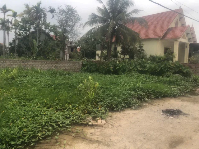 Bất động sản tại Hải Phòng - ảnh 1
