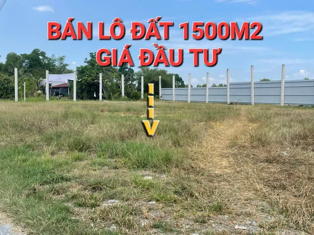 Bất động sản tại Long An - ảnh 1