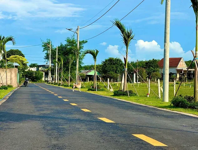 Bất động sản tại Bình Dương - ảnh 1