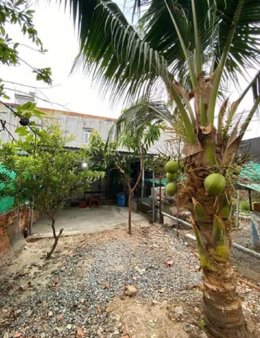Bất động sản tại Bình Dương - ảnh 1