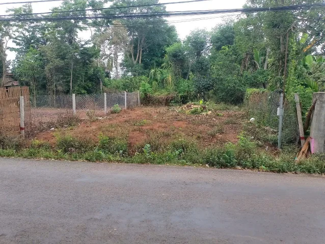 Bất động sản tại Đắk Lắk - ảnh 1