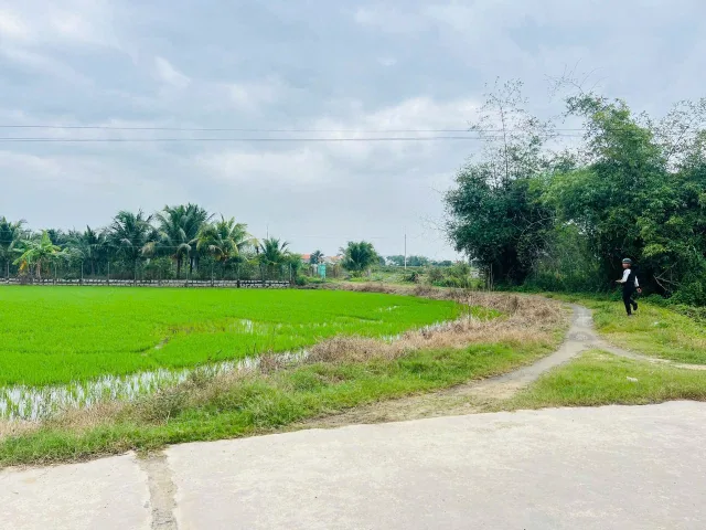 Bất động sản tại Khánh Hòa - ảnh 1