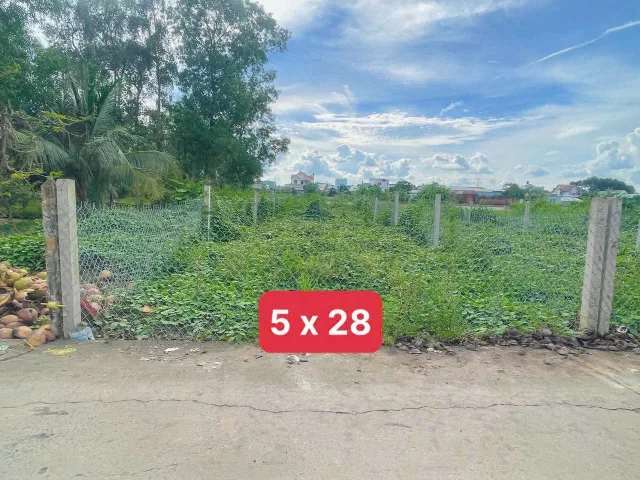 Bất động sản tại Long An - ảnh 1