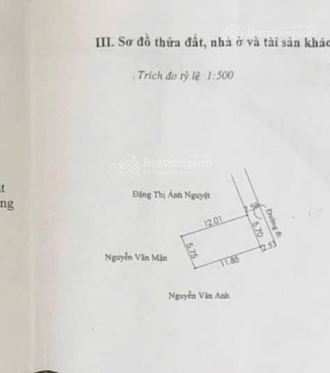 Bất động sản tại Bình Dương - ảnh 1