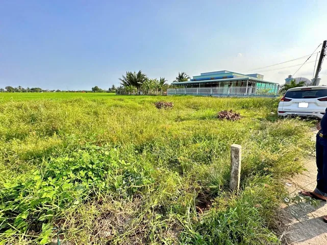 Bất động sản tại Long An - ảnh 1