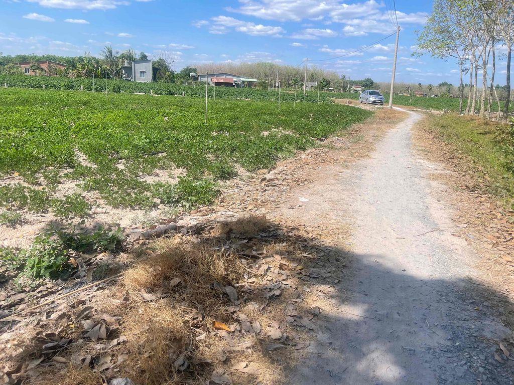 Bất động sản tại Tây Ninh - ảnh 1
