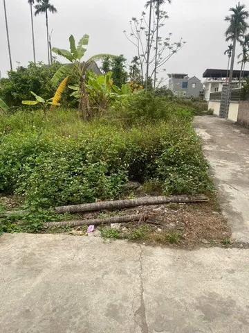 Bất động sản tại Hải Phòng - ảnh 1