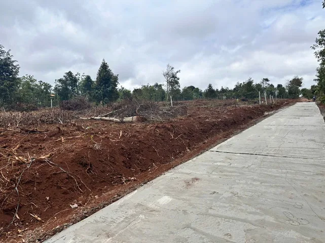 Bất động sản tại Đắk Lắk - ảnh 1
