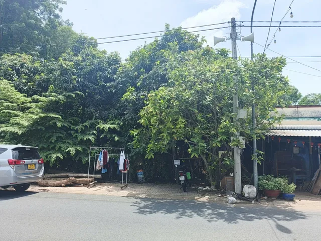 Bất động sản tại Đồng Tháp - ảnh 1