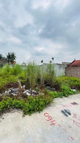 Bất động sản tại Hải Phòng - ảnh 1