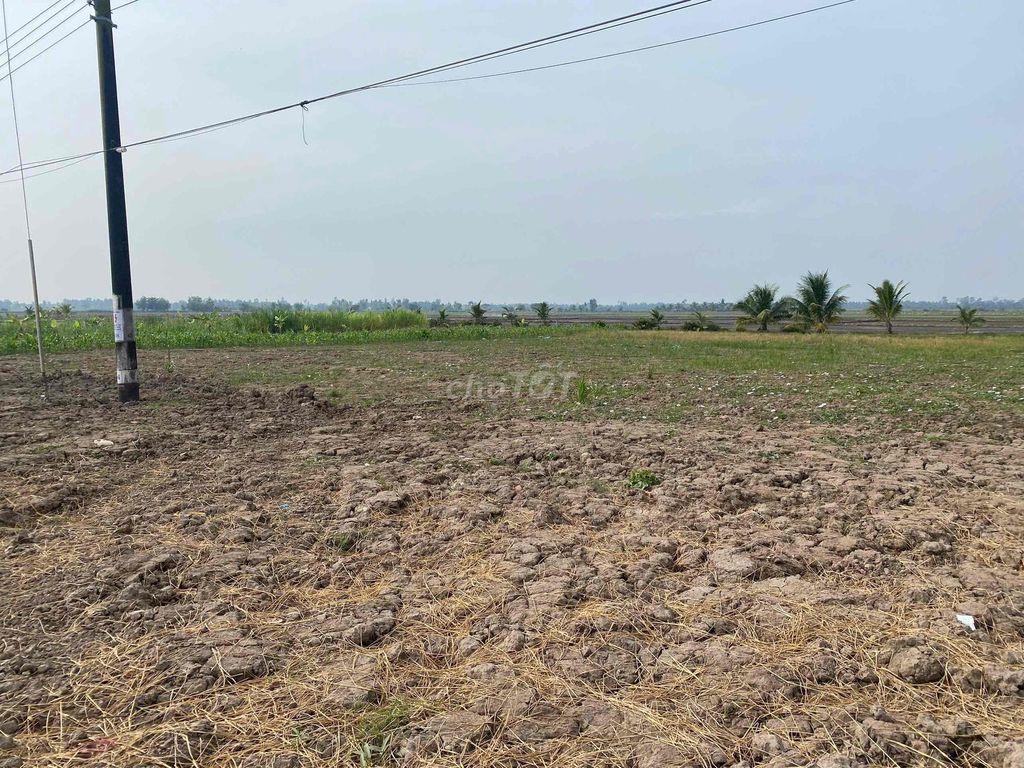 Bất động sản tại Trà Vinh - ảnh 1