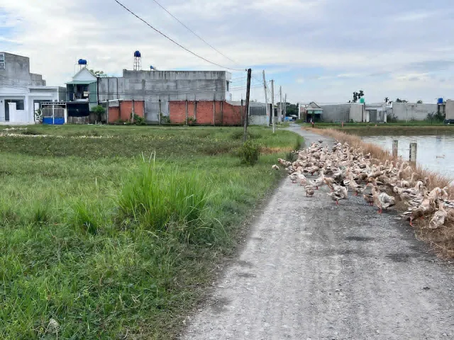 Bất động sản tại Tây Ninh - ảnh 1