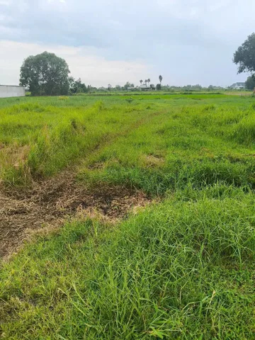 Bất động sản tại Tây Ninh - ảnh 1