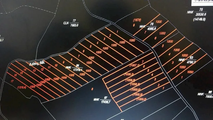 Bất động sản tại Đắk Nông - ảnh 1