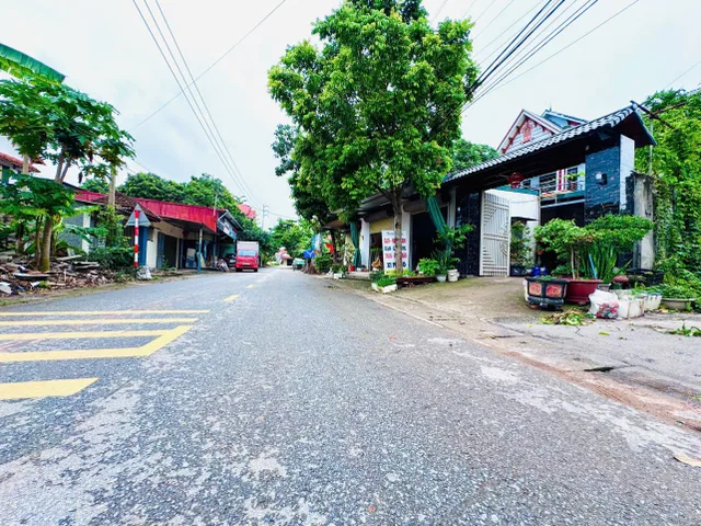 Bất động sản tại Phú Thọ - ảnh 1
