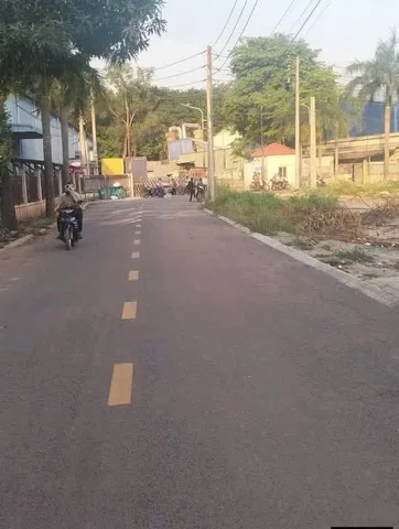 Bất động sản tại Bình Dương - ảnh 1