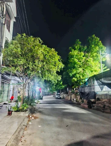 Bất động sản tại Bắc Ninh - ảnh 1