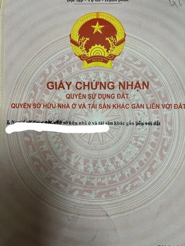 Bất động sản tại Đà Nẵng - ảnh 1