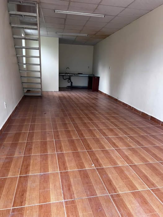 Bất động sản tại Lâm Đồng - ảnh 1