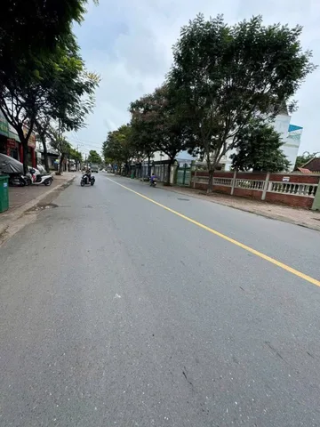 Bất động sản tại Bình Dương - ảnh 1