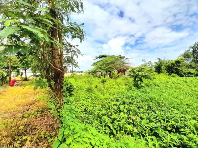 Bất động sản tại Cần Thơ - ảnh 1