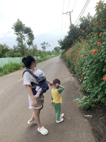 Bất động sản tại Bình Dương - ảnh 1