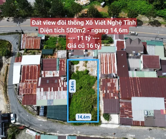 Bất động sản tại Lâm Đồng - ảnh 1