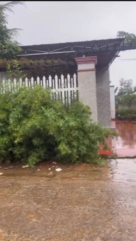 Bất động sản tại Đắk Lắk - ảnh 1