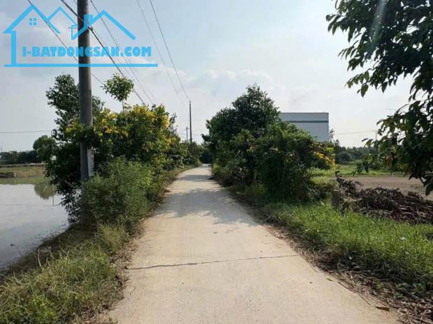 Bất động sản tại Long An - ảnh 1