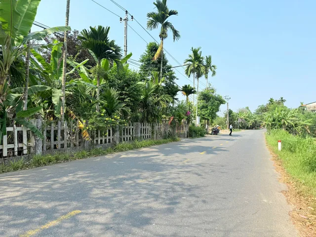 Bất động sản tại Đà Nẵng - ảnh 1